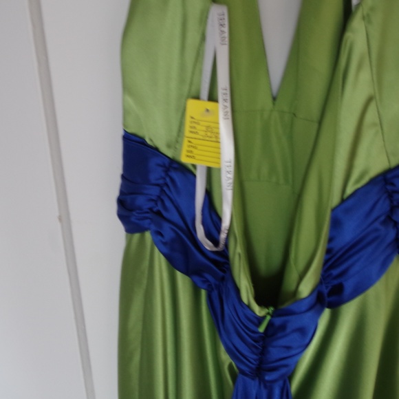 Beautiful Terani Dress - Picture 6 of 6